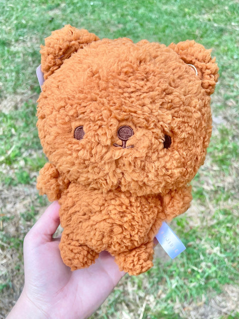 Teddy Plushy