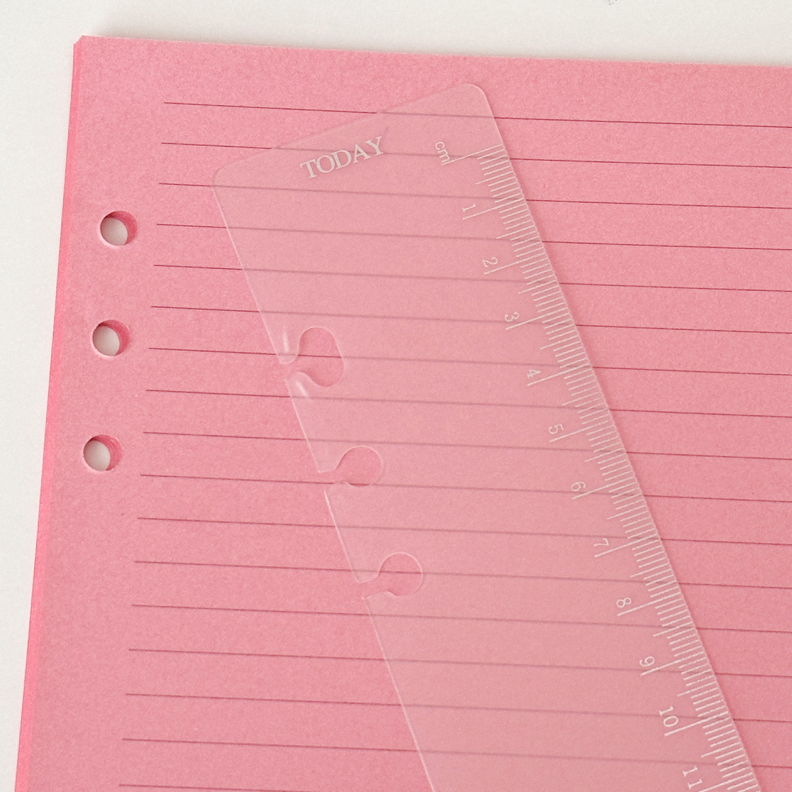 A5 Clip In Ruler – Fujibee